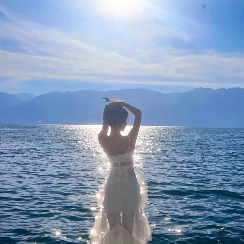 海达尔